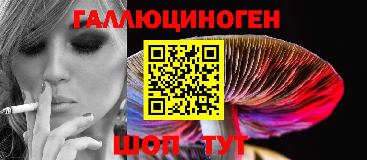 Галлюциногенные грибы Psilocybine cubensis  Вход с VPN  Арзамас  Псилоцибиновые грибы GOLDEN TEACHER 